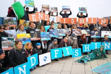 End Fishing Demonstration